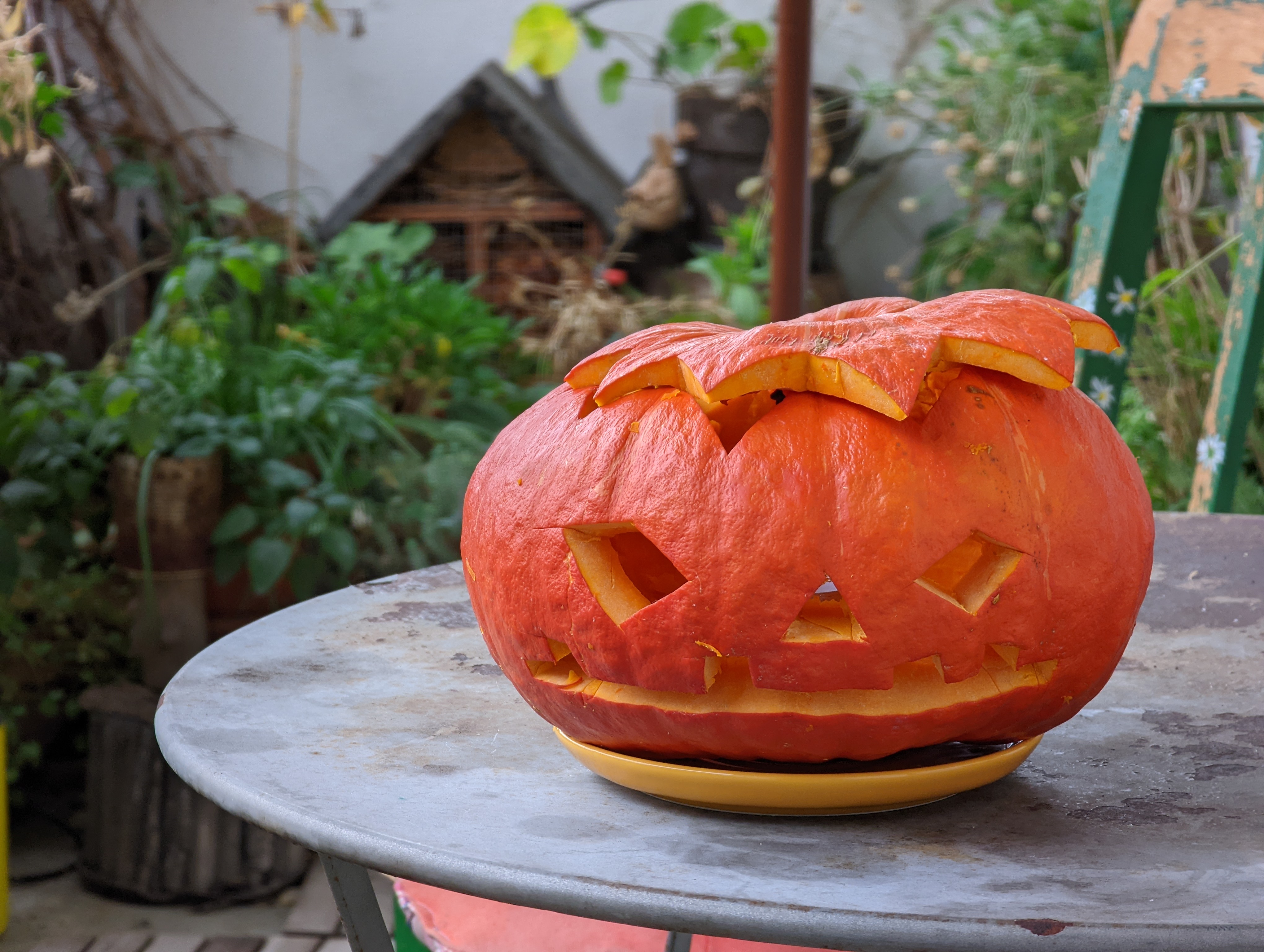 SF Max von Mustermann